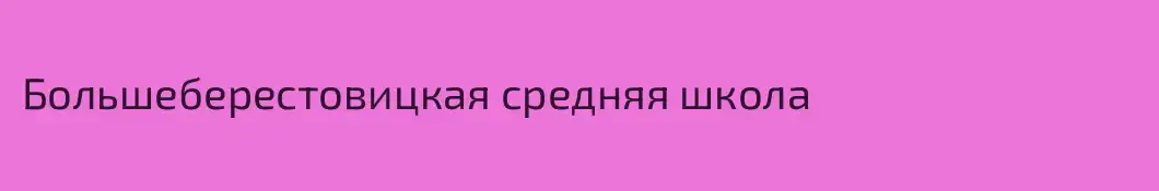 Большеберестовицкая средняя школа